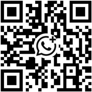 shenzhen escort