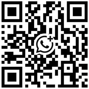escort in shenzhen